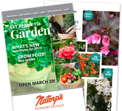 Plants Online Cincinnati Natorp S Plant See The Must Haves