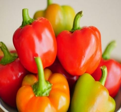 Sweetie Pie F1 Pepper | Natorp's Online Plant Store